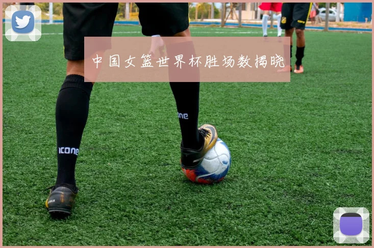 中国女篮世界杯胜场数揭晓